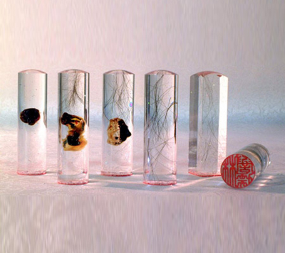 ��ʥ��(��i)�þá�̥ë��