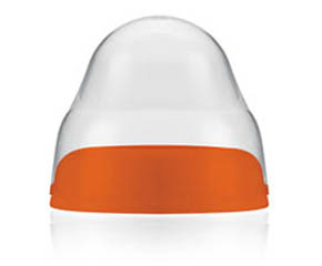 �����ǌ��ڏ���ƿ�w�Æ���