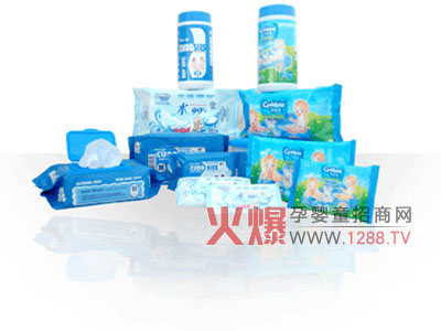 �P��ܰ���׃���� ���o�������w