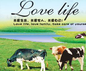 �۵Ø��I�B(y��ng)�׷ێ��������������L