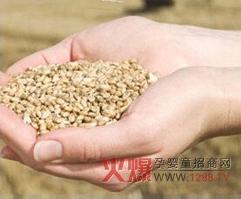 健康時光嬰童輔食當(dāng)季收獲原料