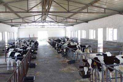 ��ţ���e�\(y��n)�Ӆ^(q��) 