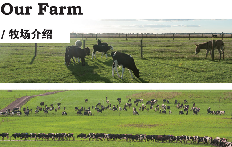 ���������������Q(m��o)���޹�˾