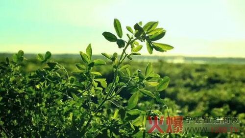 �xɽţ�̟���ӛ�������������� �����֎ײ���