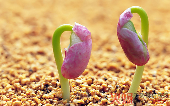 ؐʿ��׌ֲ�������o�ޱ��l(f��)