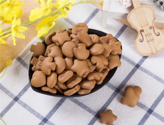 �ȸ������