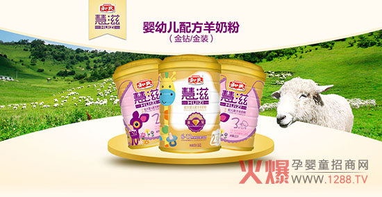 ������ʲô���ۺȺ��ϻ������̷���