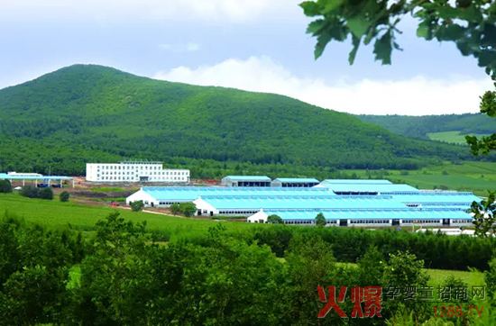 �l(f��)չ���w��(j��ng)�������_ɽ���Є���