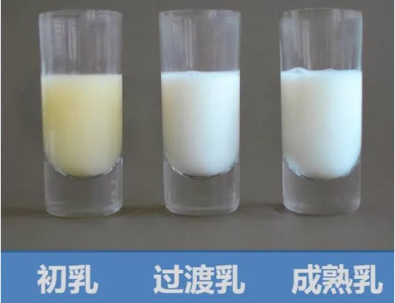 鑫琦.jpg 鑫琦.jpg