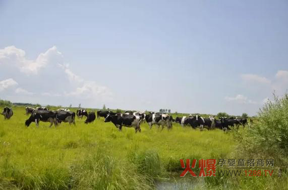 ���_ɽ�̷۞�Ε��ܵ��@ô���˵�ϲ����