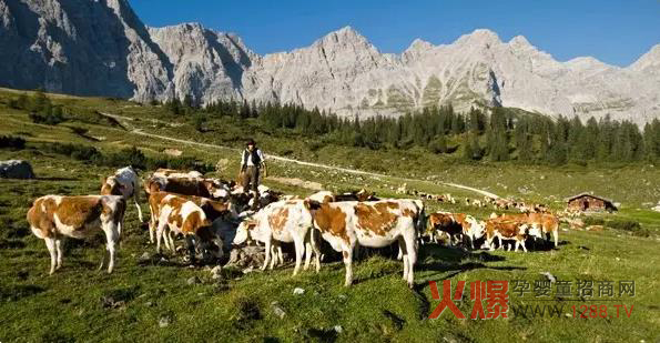 �ɰż{�ЙC(j��)�̷� �ķ��ЙC(j��)�J(r��n)�CƷ�|(zh��)����