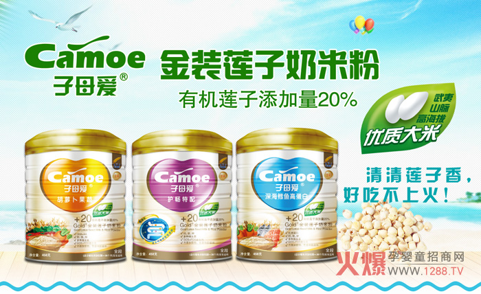 ��ĸ��(��i)�����oʳ���ڻ�������