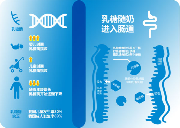 茁躍無乳糖調(diào)制奶粉介紹6.jpg