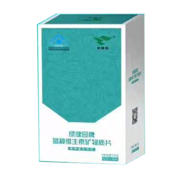 綠健園牌多種維生素C礦物質(zhì)片