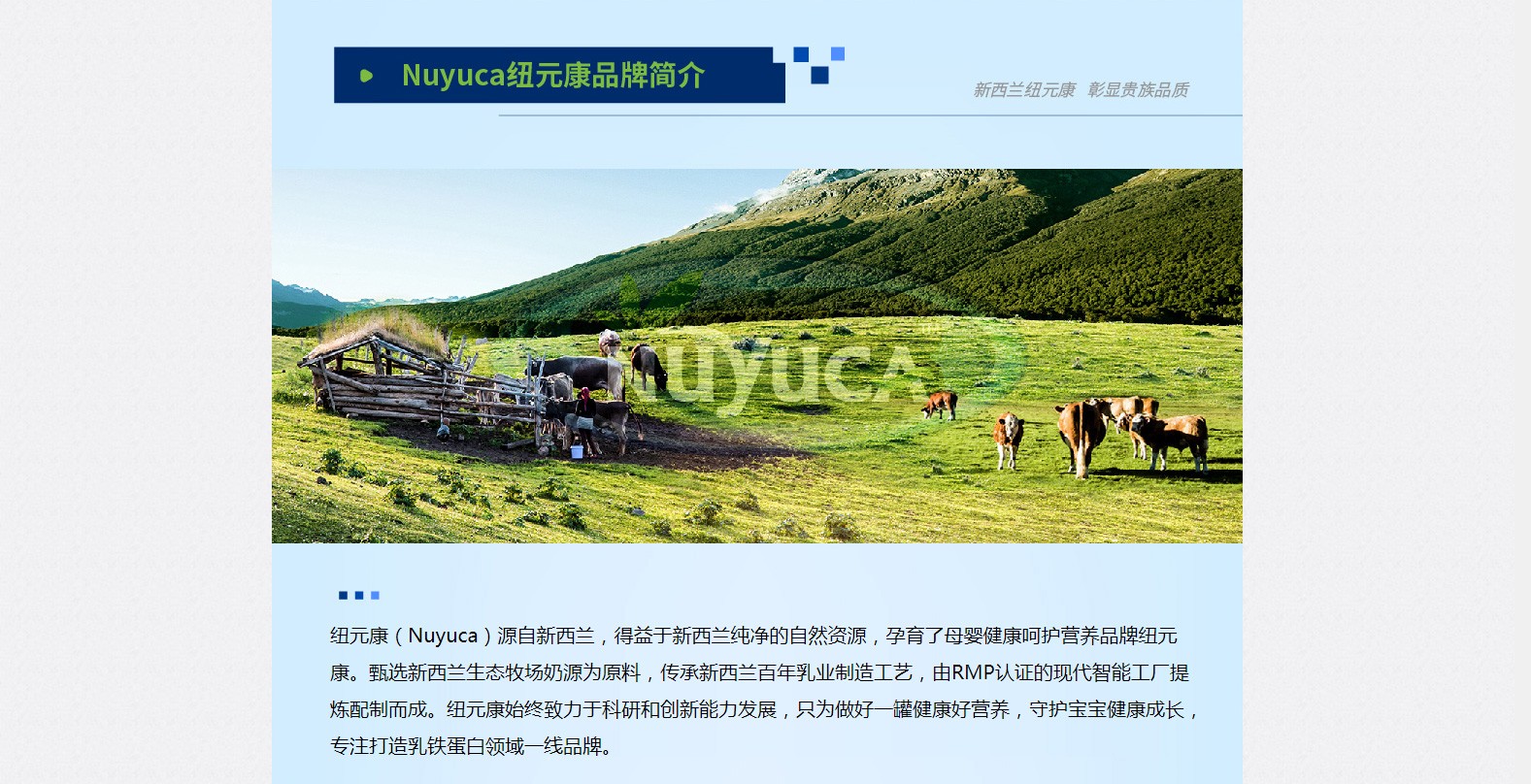 Nuyuca�~Ԫ��Ʒ�ƺ���