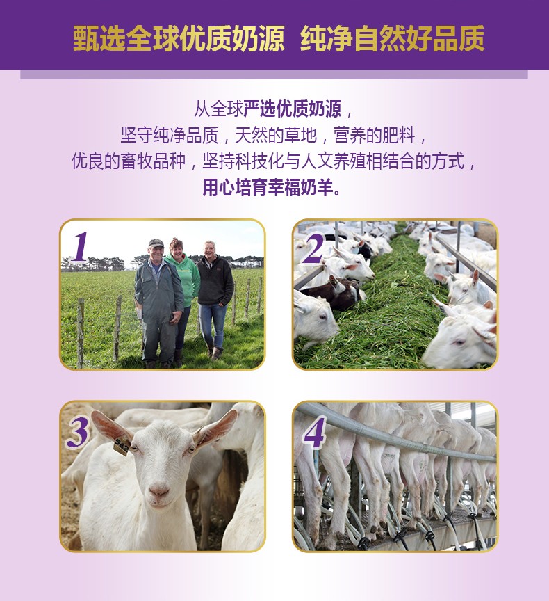  �����׃��䷽���̷ۣ�12-36���g��3�Σ�_03