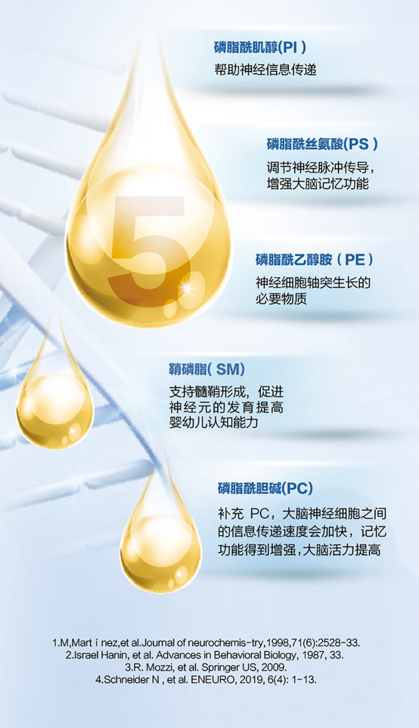   ؐ������Խ�׃��䷽�̷�(12-36���g��3��)4