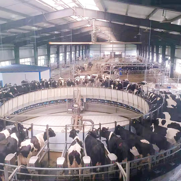 奶源工廠.webp.jpg 奶源工廠.webp.jpg