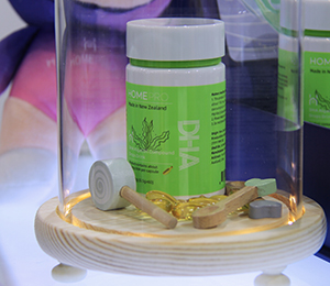  HomePro�������Z���M(j��n)�ڠI(y��ng)�B(y��ng)Ʒ12