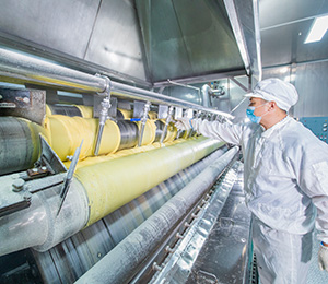  ��������S29