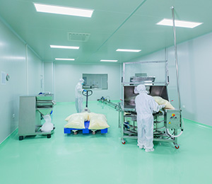  ��������S1