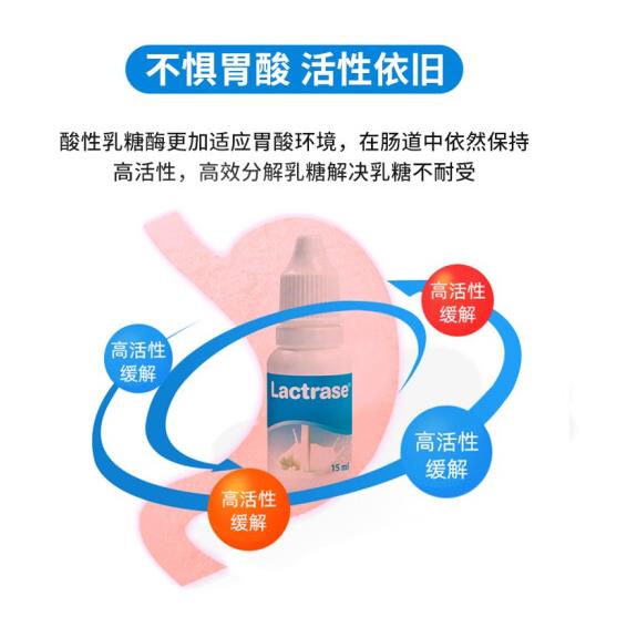樂迪士酸性乳糖酶 (1).jpg