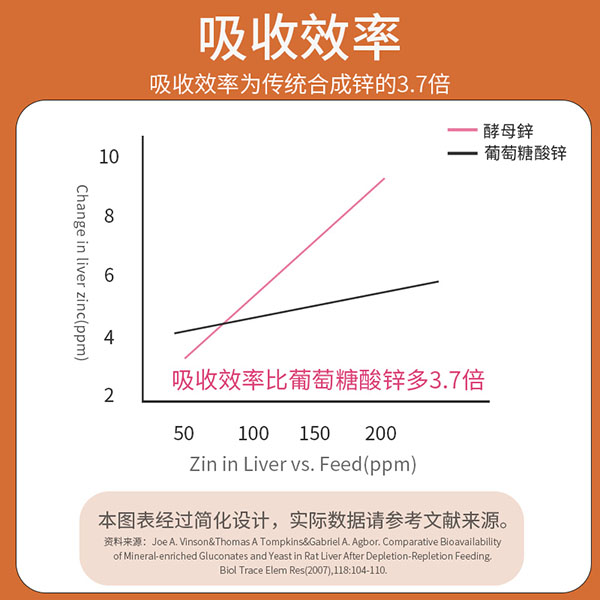 圣諾熊綜合酵素鋅酵母粉固體飲料主圖 (3).jpg