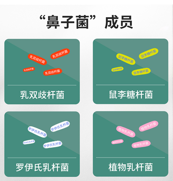 圣諾熊愛敏康復(fù)合益生菌固體飲料詳情圖5.jpg