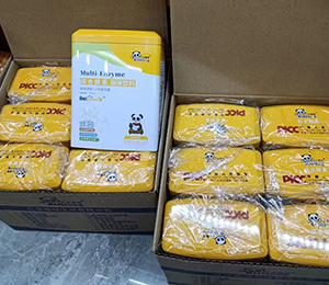  �ػ��� ʥ�Z�ܠI�B(y��ng)Ʒ��ЈD25