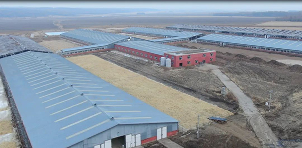 譜華威乳業(yè)集團(tuán)奶牛養(yǎng)殖牧場(chǎng)第三批奶牛入園成功1.jpg 譜華威乳業(yè)集團(tuán)奶牛養(yǎng)殖牧場(chǎng)第三批奶牛入園成功1.jpg