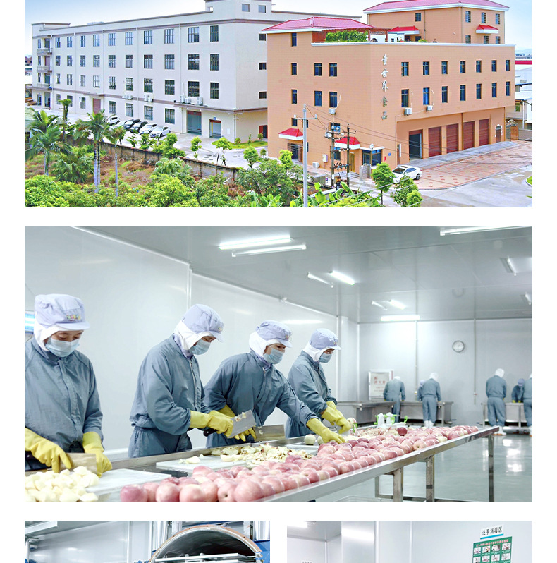 果蔬飛機(jī)造型餅干 (12).jpg