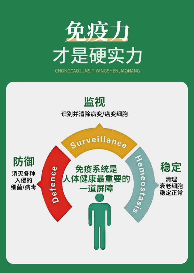 仕強戈樂家老鋪蟲草菌絲體洋參膠囊詳情 (2).jpg