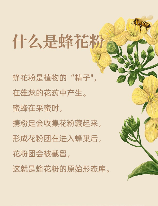 天下康普破壁蜂花粉固體飲料詳情 (4).jpg