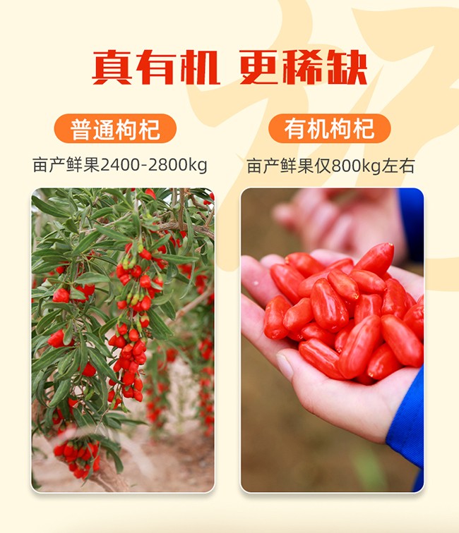 呀啦嗦有機(jī)枸杞原漿詳情 (7).jpg