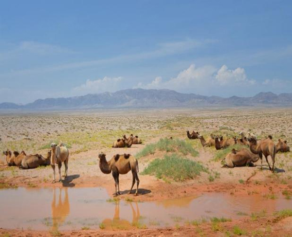 ���ƽz�ĸ�댣�������\�д���������ģʽ���´������oȫ�ҽ������\�����ļ�����