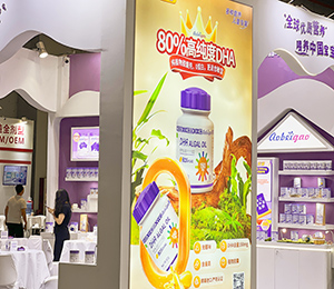  ΢�ňDƬ_20250326115548