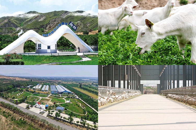 雅泰乳業(yè).jpg 雅泰乳業(yè).jpg