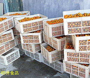 ��ѽʳƷԭ��