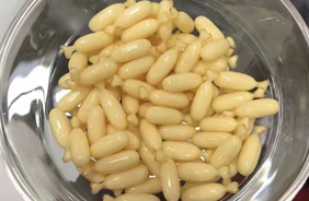 ���X��ͯ�I(y��ng)�B(y��ng)Ʒ����