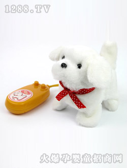 ��֮��RC�R����