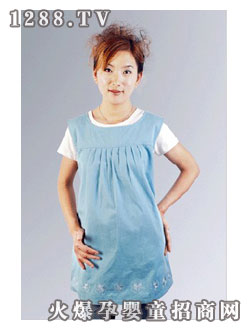 ���Z���{(l��n)ɫ���e�ЋDȹ