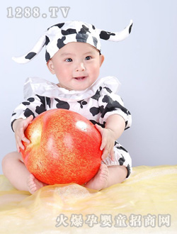 �O���f�@�����տɐ�(��i)����