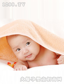 ���O���������������@��