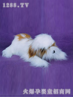 ���ҷ�������Lë�װȹ�