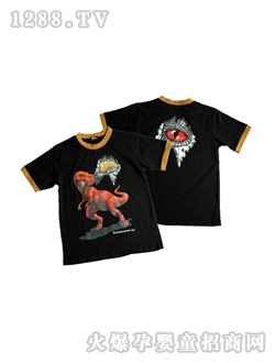 �ϼ{����ɫT��