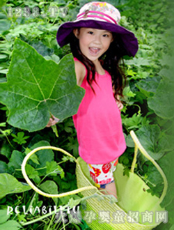 Λρ����ɐ���Ƭ