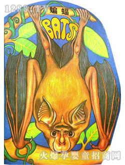 С��̖(h��o)�����L(f��ng)�����w��(sh��)�����ģ�