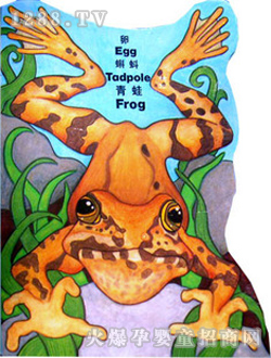 С��̖(h��o)�����L(f��ng)�����w��(sh��)�����ģ�