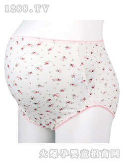 õ��̫̫С�黨�ЋD��(n��i)ѝ