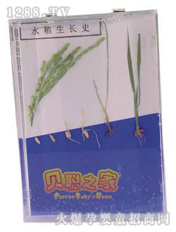 ؐˮ�����L(zh��ng)ʷ�̾�